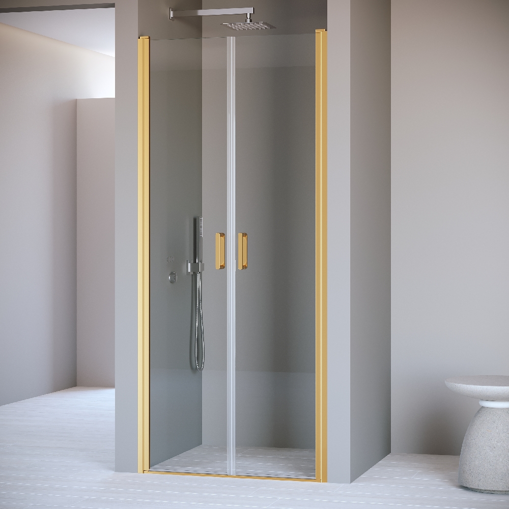 Душевая дверь RGW PA-104Gb (1200)